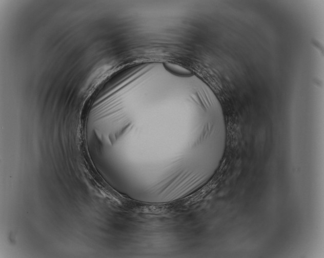 X0000091330338200708311441