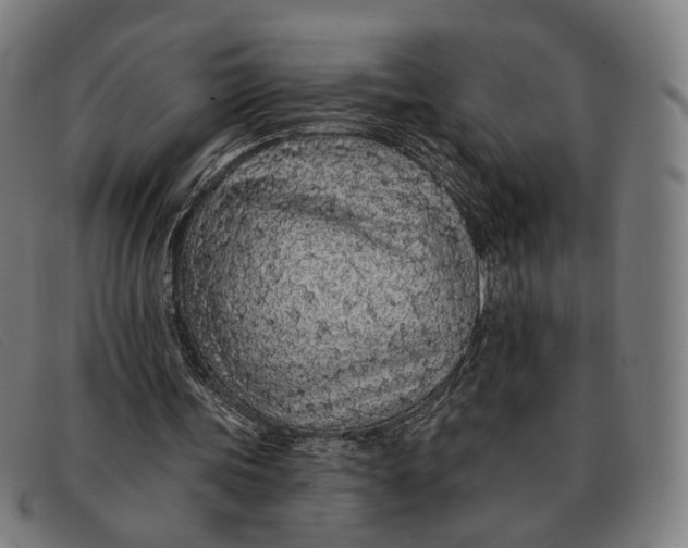 X0000091330339200708311441
