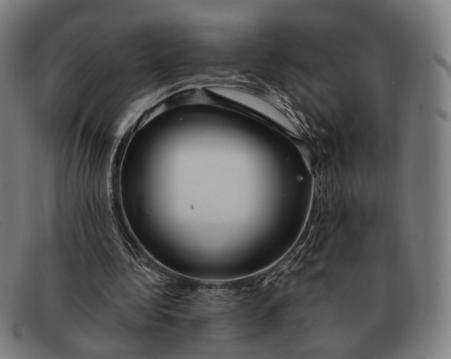 X0000091330340200708311441