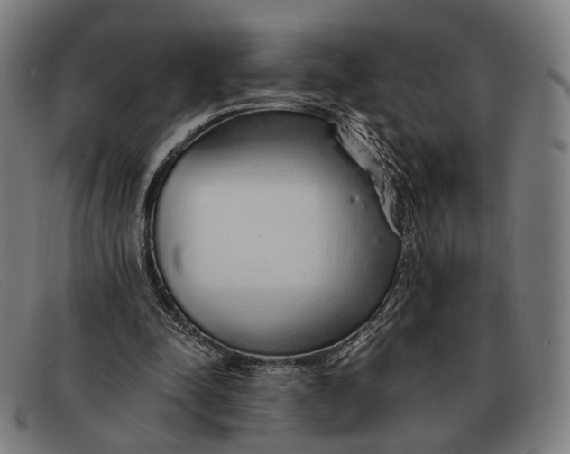 X0000091330342200708311441