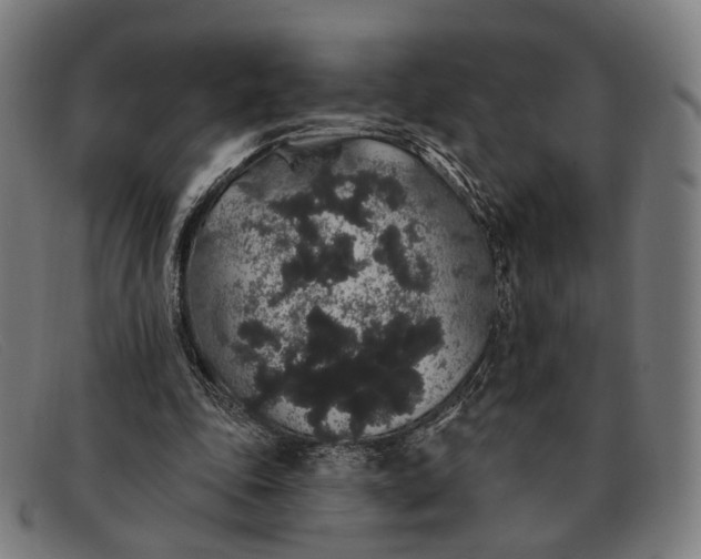 X0000091330343200708311441