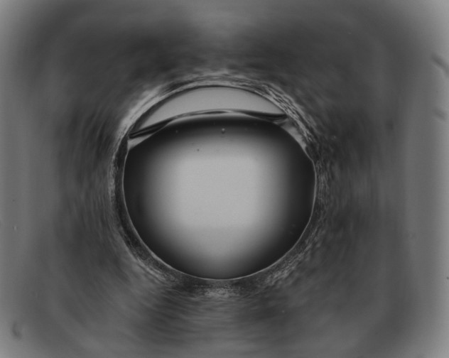 X0000091330344200708311441