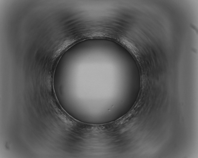 X0000091330345200708311441