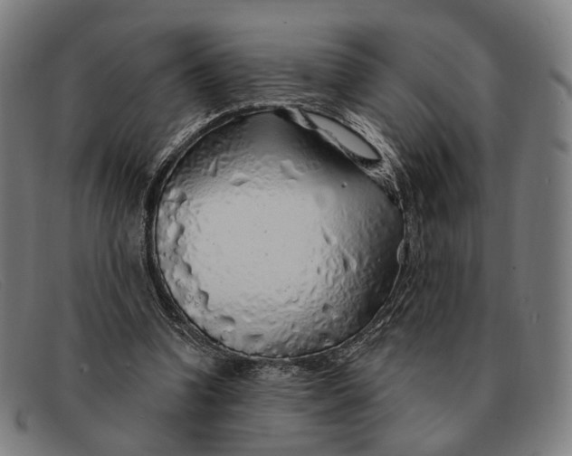 X0000091330346200708311441