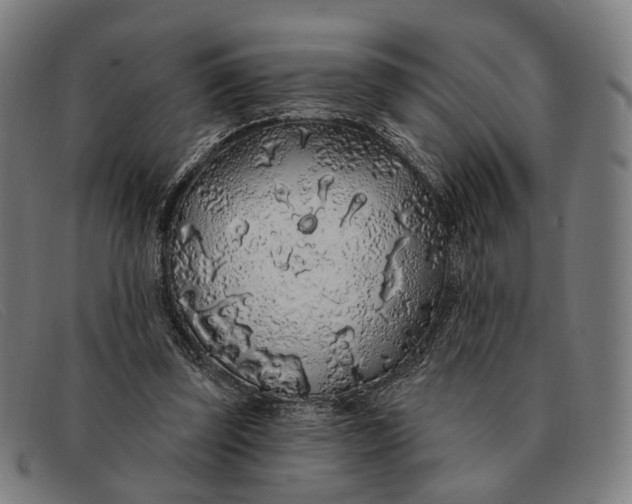 X0000091330347200708311441