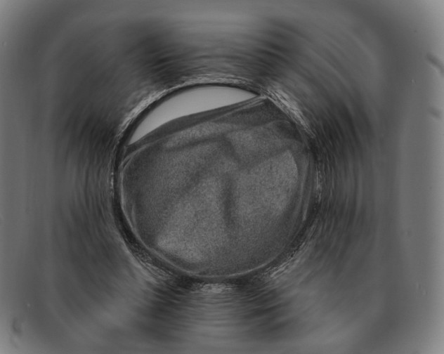 X0000091330348200708311441
