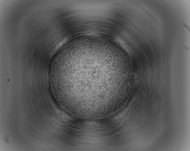 X0000091330349200708311441