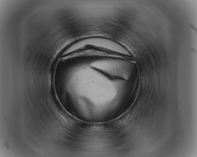 X0000091330350200708311441