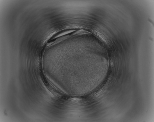 X0000091330352200708311441