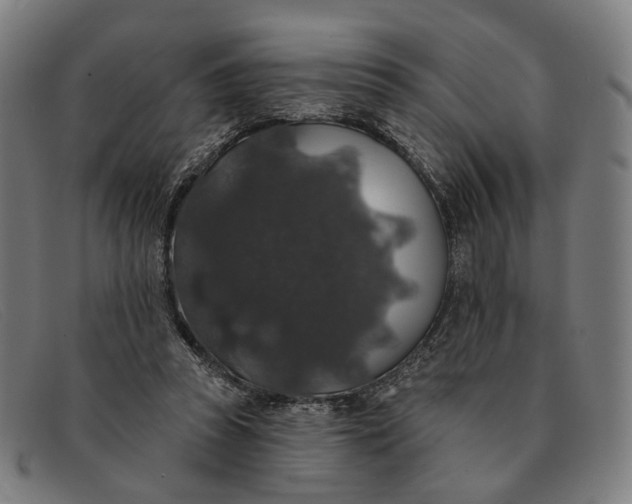 X0000091330353200708311441