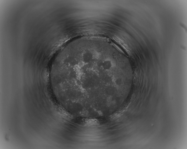 X0000091330355200708311441
