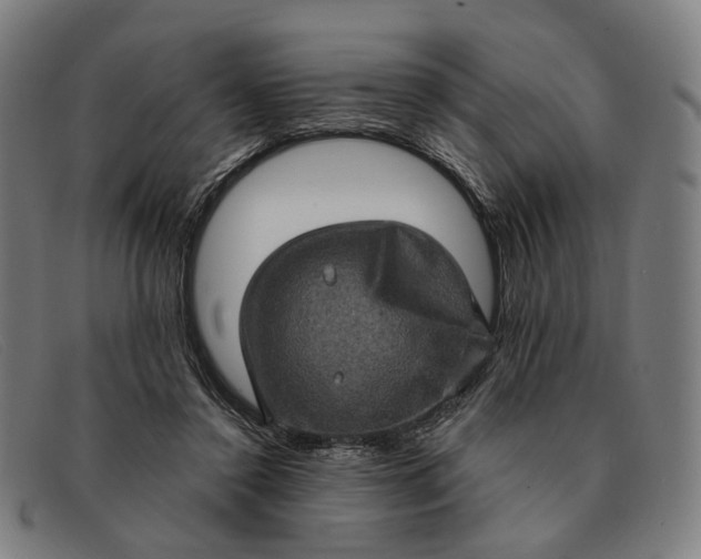 X0000091330356200708311441
