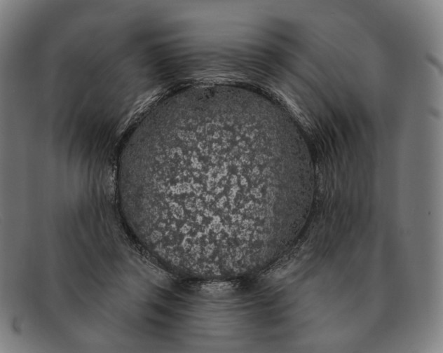 X0000091330357200708311441