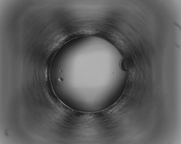 X0000091330358200708311441