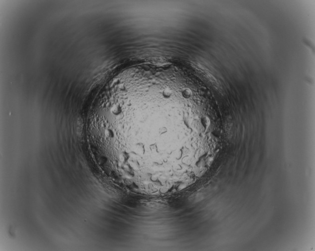 X0000091330359200708311441