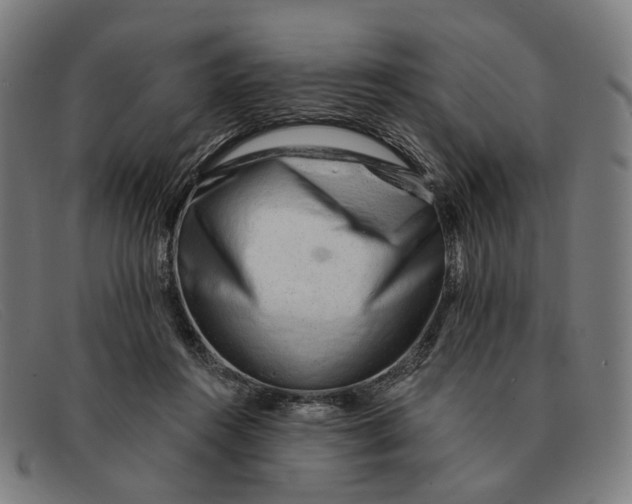 X0000091330360200708311441