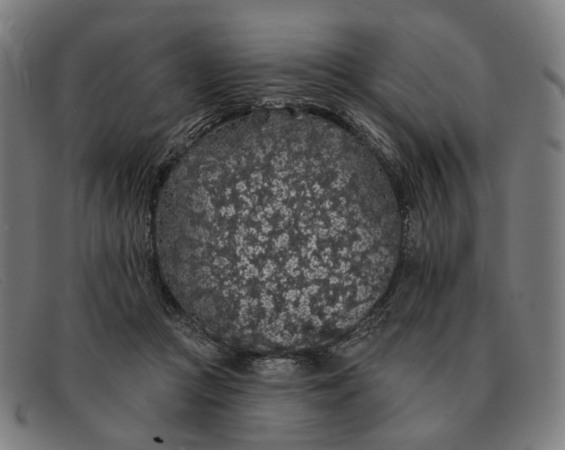X0000091330361200708311441