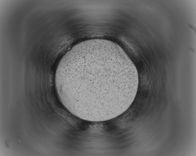 X0000091330362200708311441