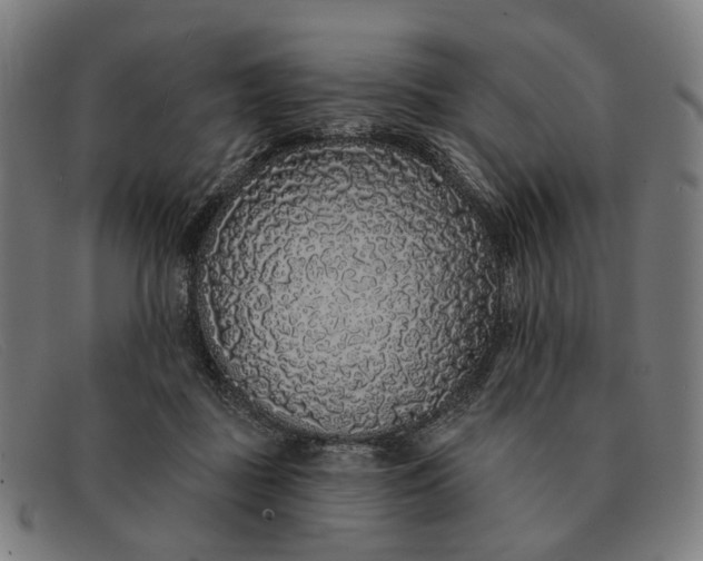 X0000091330363200708311441