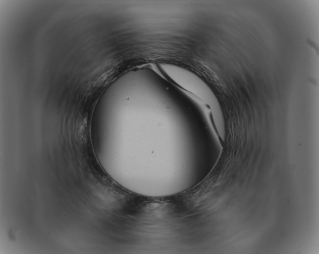 X0000091330364200708311441