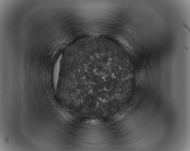X0000091330365200708311441
