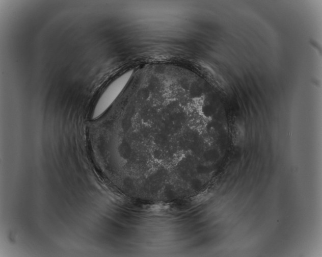 X0000091330366200708311441