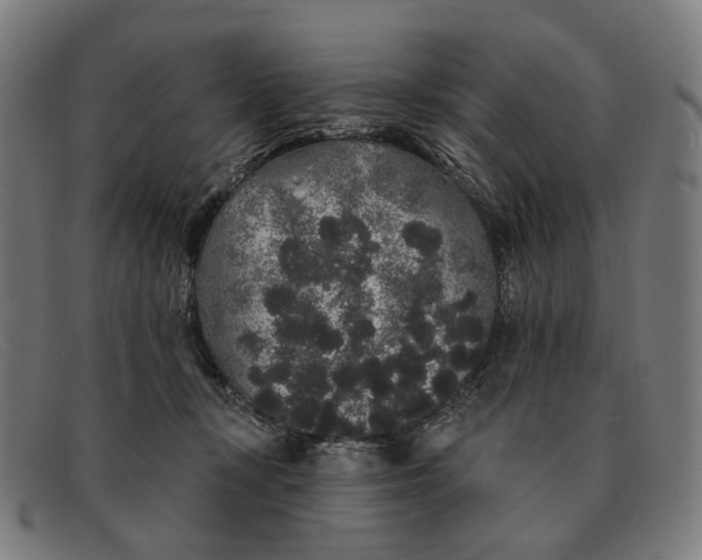 X0000091330367200708311441