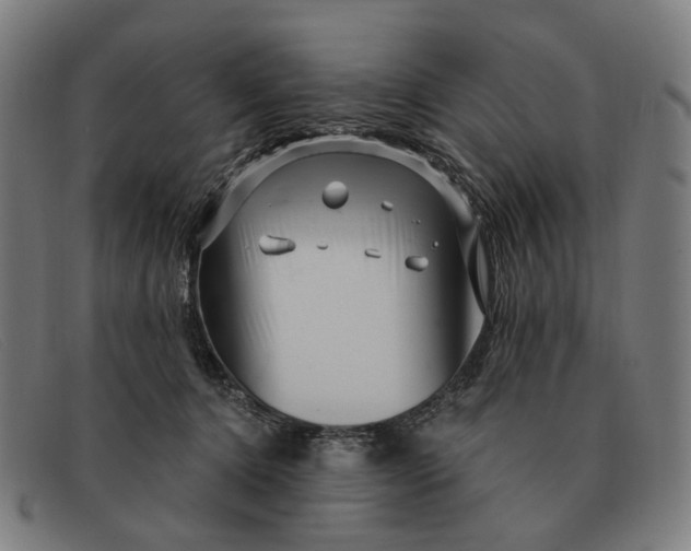 X0000091330368200708311441