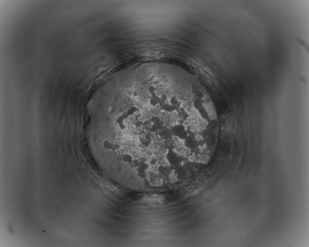 X0000091330369200708311441