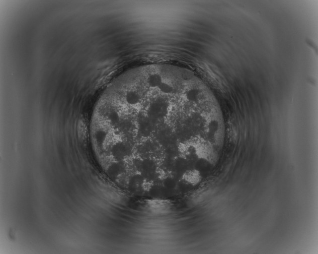 X0000091330371200708311441