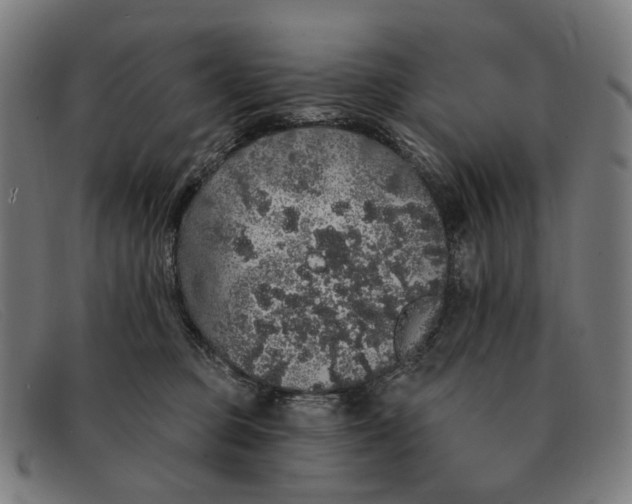 X0000091330373200708311441
