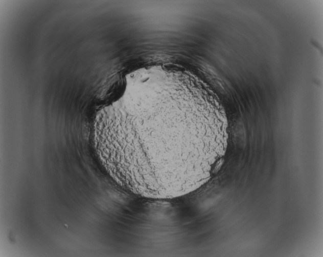 X0000091330374200708311441