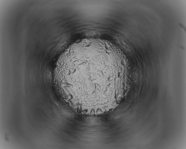 X0000091330375200708311441