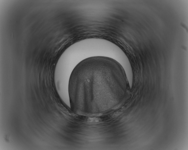 X0000091330376200708311441