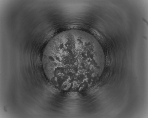 X0000091330377200708311441