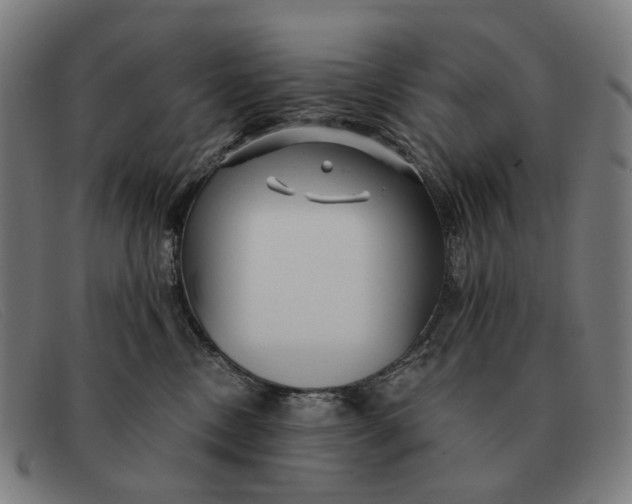 X0000091330378200708311441