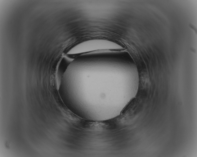 X0000091330379200708311441
