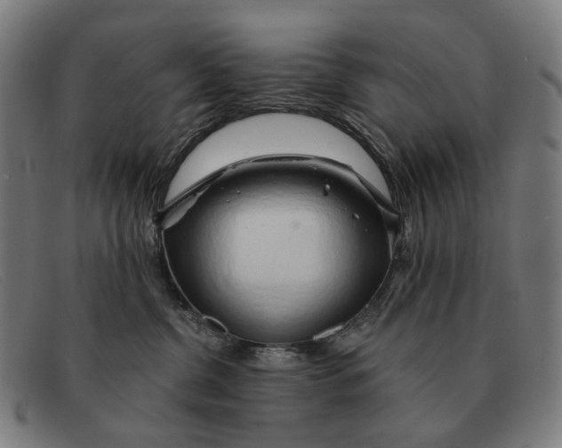 X0000091330380200708311441