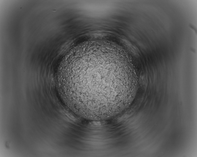 X0000091330381200708311441