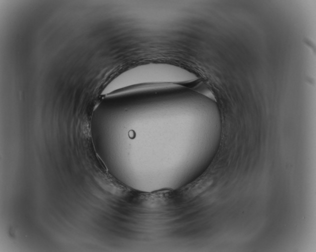 X0000091330384200708311441