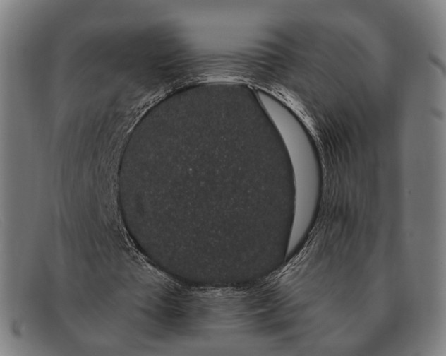X0000091330385200708311441