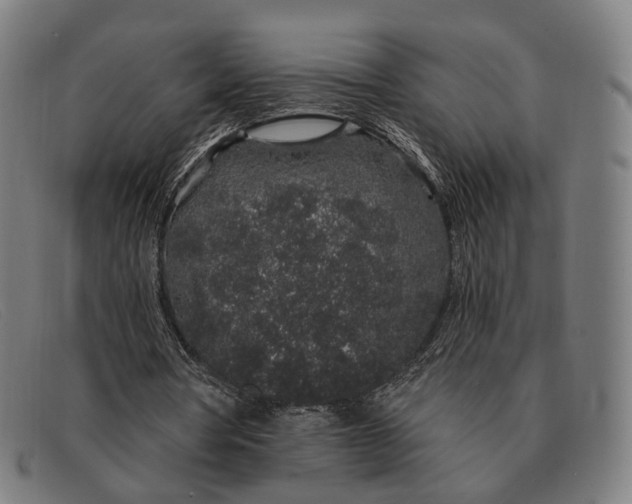 X0000091330386200708311441