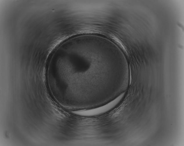 X0000091330387200708311441