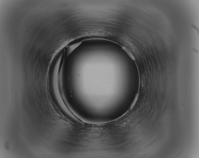 X0000091330388200708311441