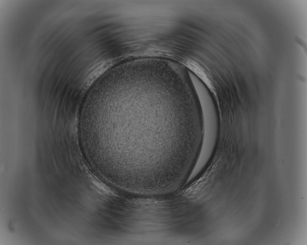 X0000091330389200708311441