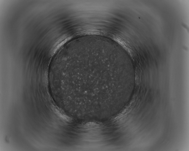X0000091330390200708311441