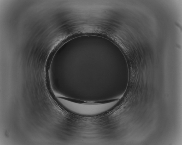X0000091330391200708311440