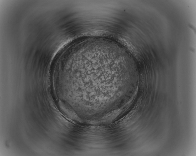 X0000091330392200708311440