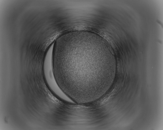 X0000091330393200708311440