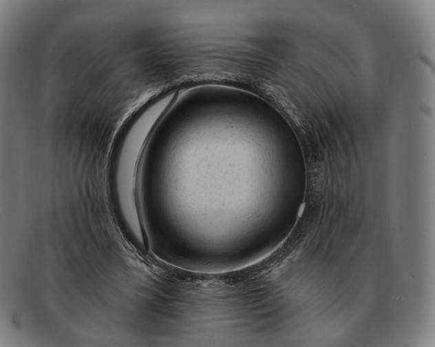 X0000091330395200708311440